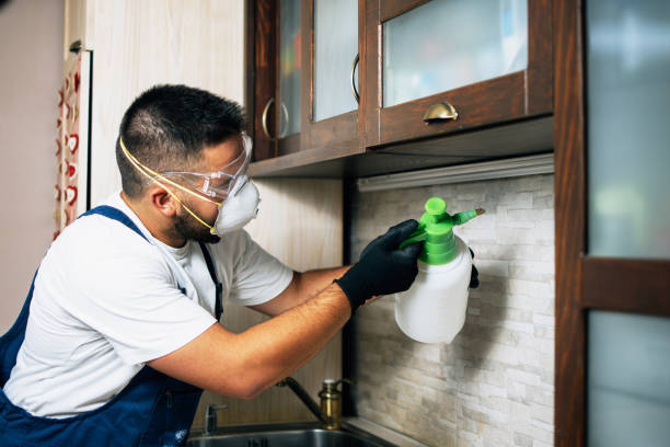 Best Exterminator Services  in Harrisville, UT