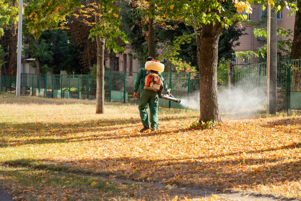 Best Local Pest Control Services  in Harrisville, UT